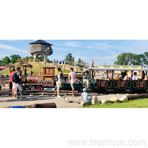 Popular amusement park railway train